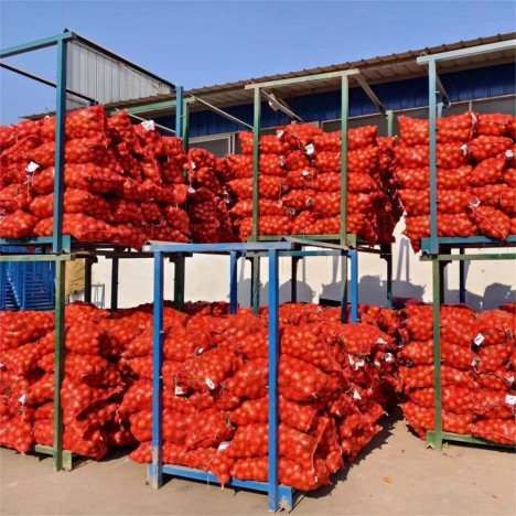 GROSSISTE ADJAME Oignons frais ,oignons rouges et oignons jaunes, nouvelle récolte