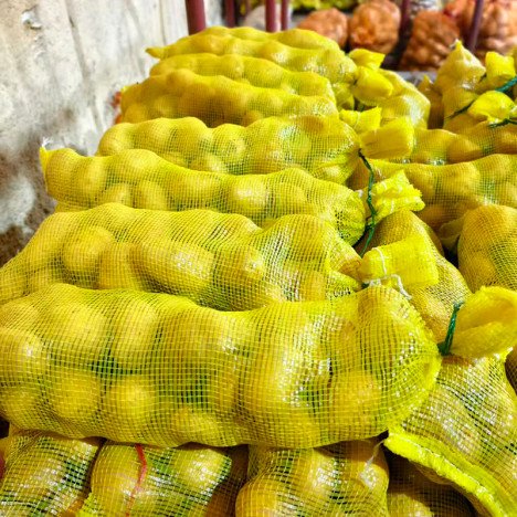 GROSSISTE ADJAMÉ : Pommes de Terre Fraîches – Nouvelle Récolte